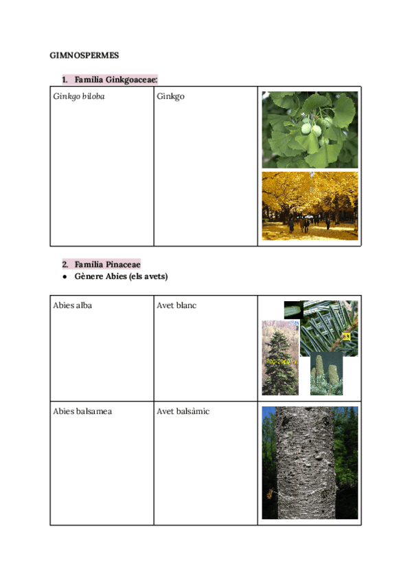 Miniatura del documento Reconeixement-de-plantes.pdf