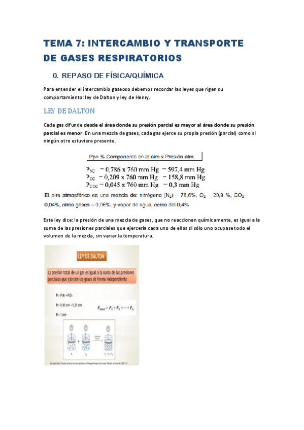 Miniatura del documento TEMA-7-FISIO-II.pdf