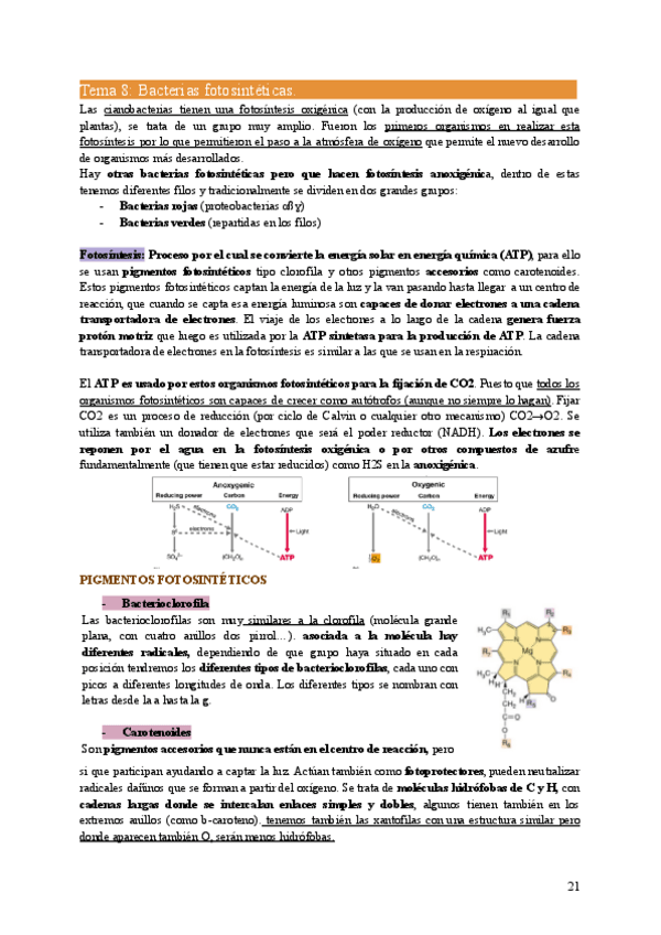 Miniatura del documento MIC2-Tema8.pdf