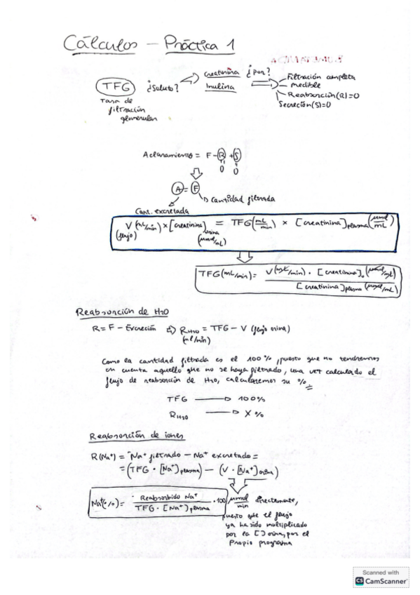 Miniatura del documento Apuntes SINTETIZADOS Prácticas FARMA-II.pdf