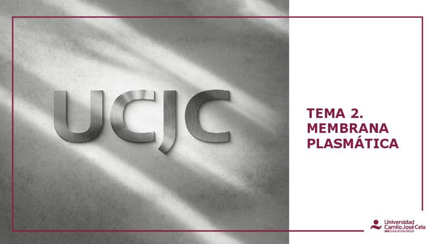 Miniatura del documento TEMA-2-PRESENTACION-LA-MEMBRANA-PLASMATICA.pdf