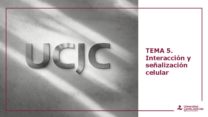 Miniatura del documento TEMA-5-PRESENTACION-INTERACCION-Y-SENALIZACION-CELULAR.pdf