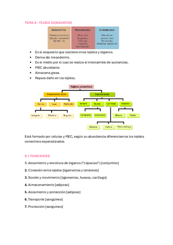 Miniatura del documento TEMA-9-TEJIDO-CONECTIVO.pdf