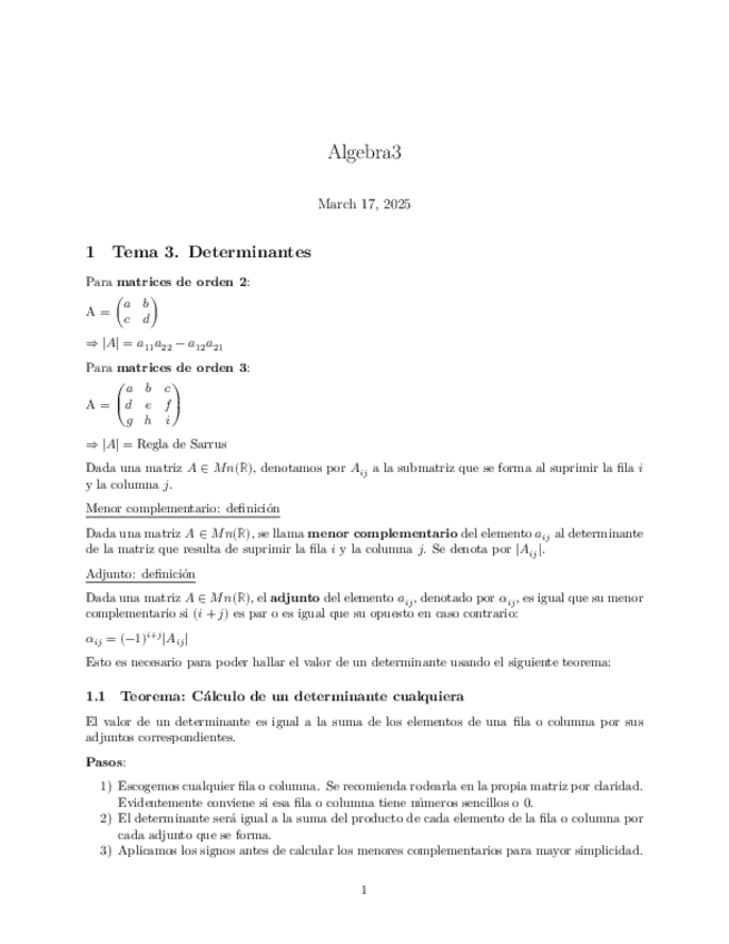 Miniatura del documento Algebra-Tema-3-Determinantes.pdf