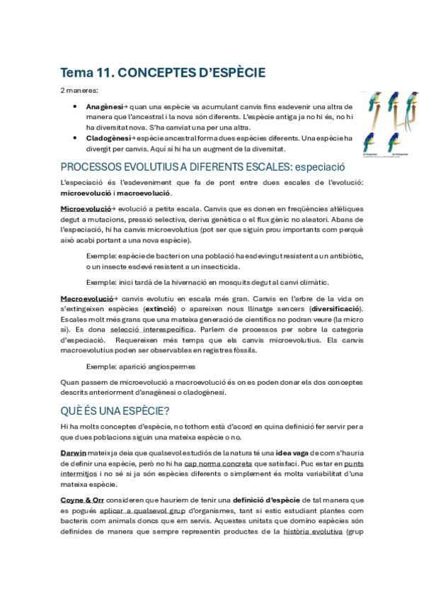 Miniatura del documento 2n-parcial-Evolucio.pdf