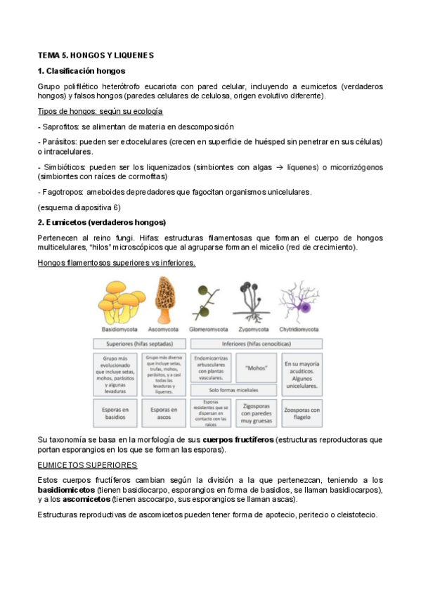 Miniatura del documento TEMA-6-PIM-BOTANICA.pdf
