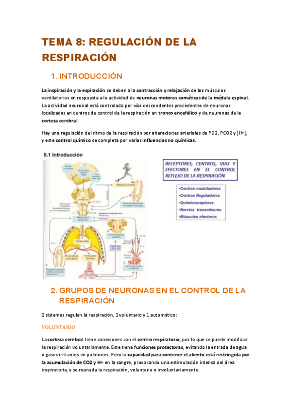 Miniatura del documento TEMA-8-FISIO-II.pdf