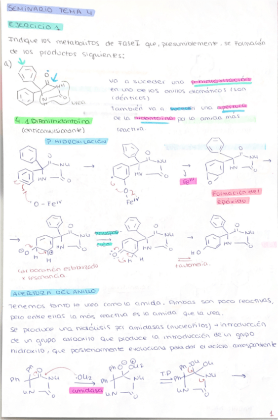 Miniatura del documento seminario-tema-4-metabolismo-FASE-I.pdf