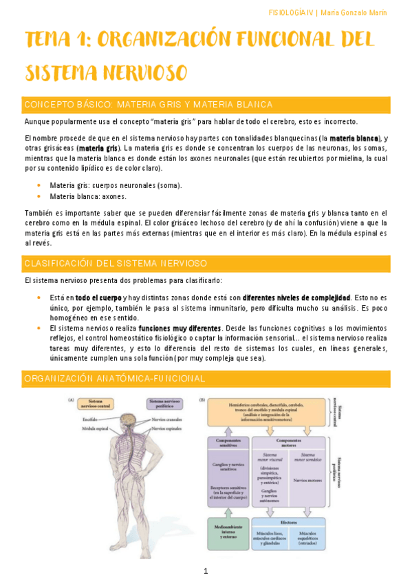 Miniatura del documento fisio-nervioso-pablo-barrecheguren.pdf