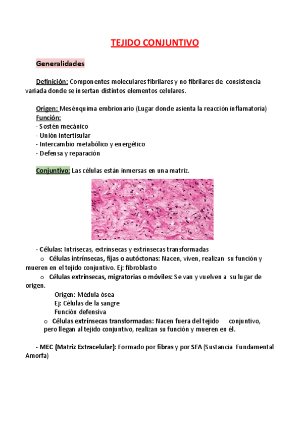 Miniatura del documento TEJIDO-CONJUNTIVO.pdf