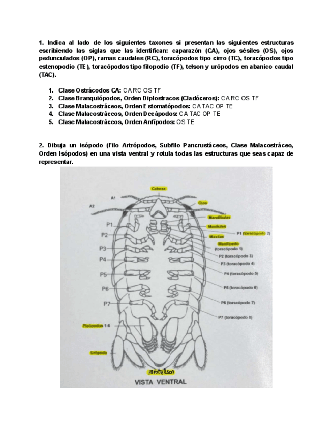 Miniatura del documento Cuestionario-pancrustaceos.pdf