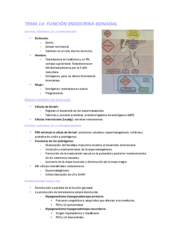 Miniatura del documento FISIOII14.pdf