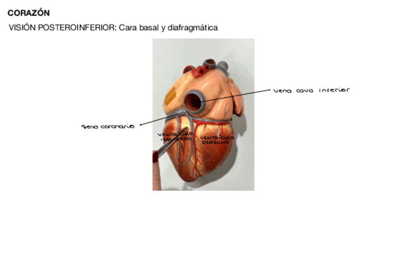 Miniatura del documento practica-1-maquetas.pdf