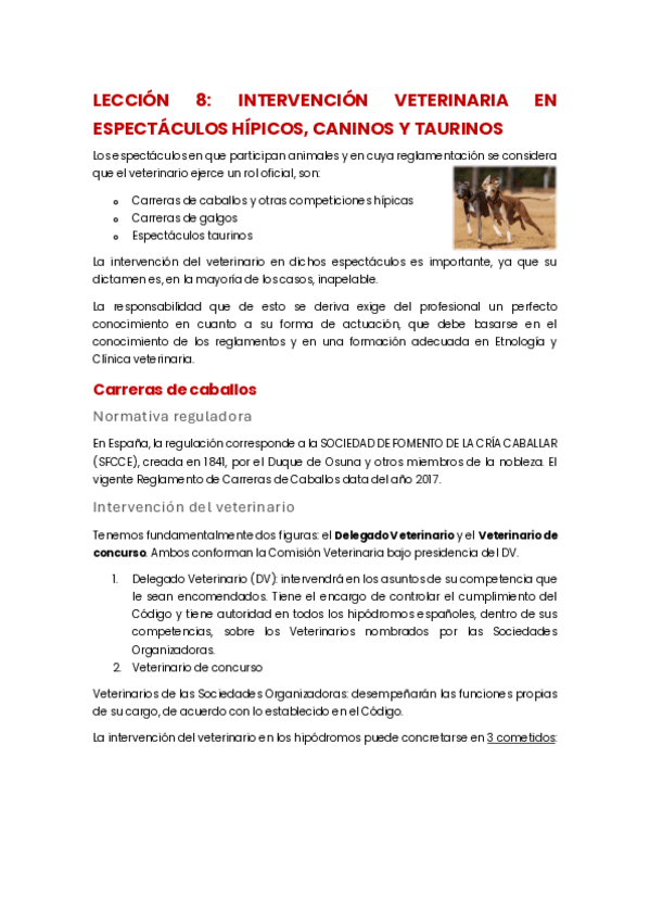Miniatura del documento LECCION-8.-INTERVENCION-VETERINARIA-EN-ESPECTACULOS-HIPICOS-CANINOS-Y-TAURINOS.pdf