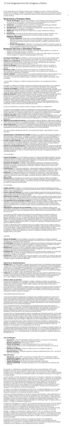 Miniatura del documento El-ciclo-biogeoquimico-del-nitrogeno-y-fosforo.pdf