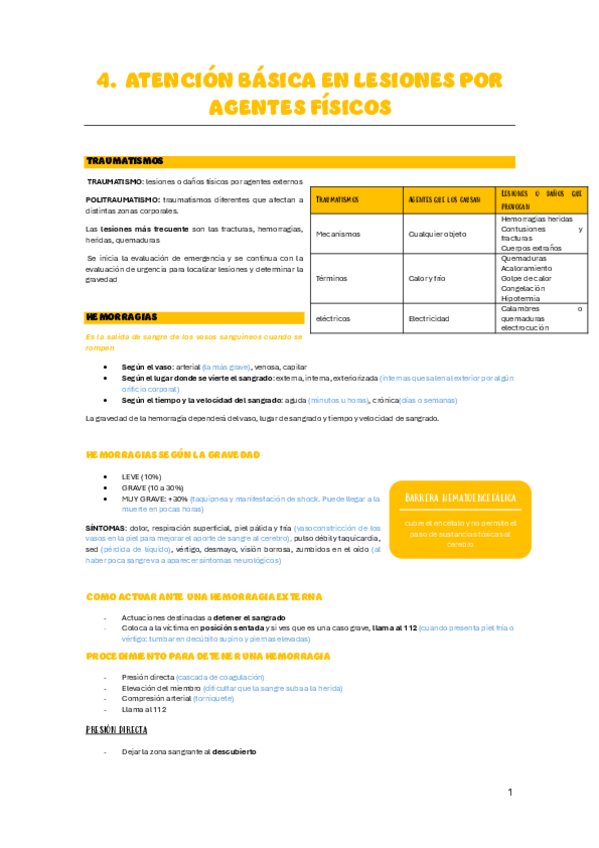 Miniatura del documento 4.-ATENCION-BASICA-EN-LESIONES-POR-AGENTES-FISICOSapuntes.pdf