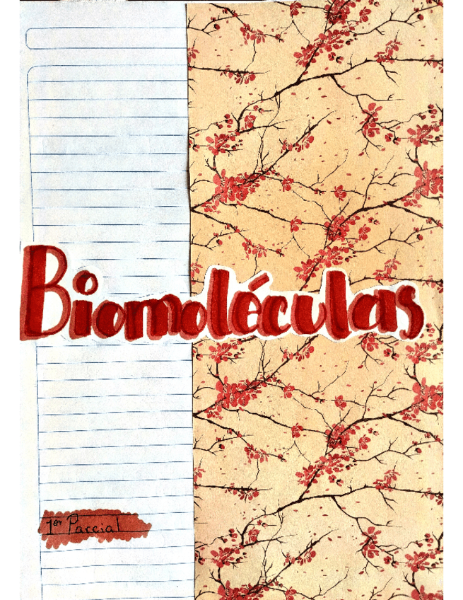 Miniatura del documento Biomoleculas.pdf