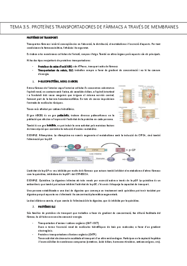 Miniatura del documento TEMA-3.5.pdf