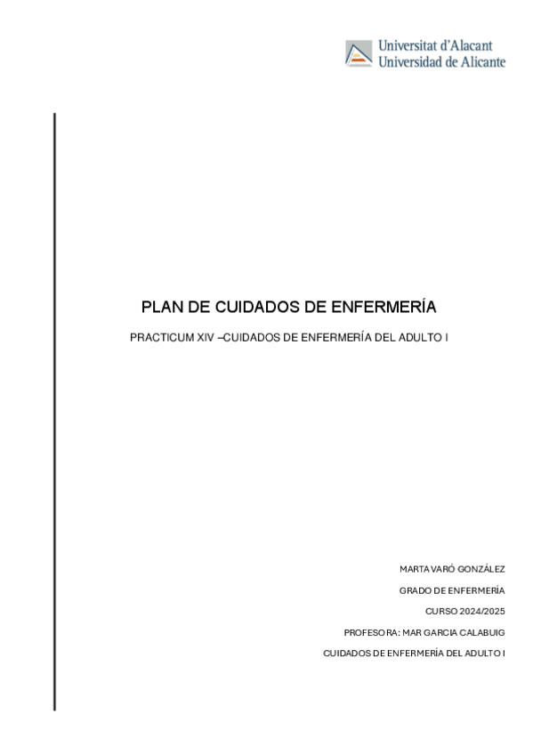 Miniatura del documento PAE-PRACTICUM-XIV.pdf