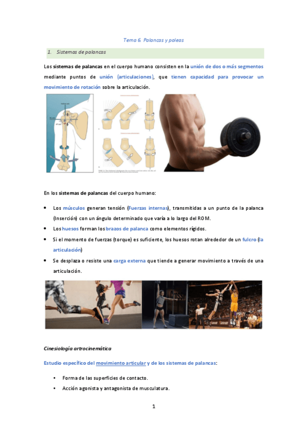 Miniatura del documento Tema-6.pdf