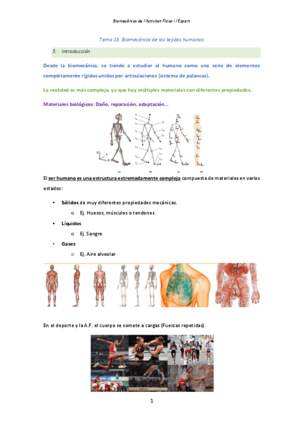 Miniatura del documento Tema-13.pdf