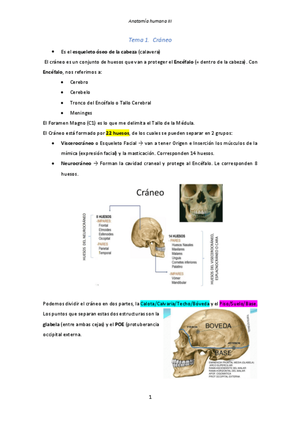 Miniatura del documento Tema-1.-Craneo.pdf