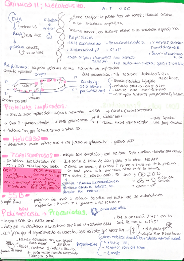 Miniatura del documento TEMA-1-BIOQUIMICA-II-METABOLISMO-ADN.pdf