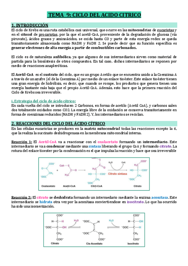 Miniatura del documento T9-CICLO-DEL-ACIDO-CITRICO.pdf