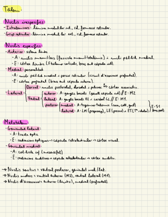 Miniatura del documento Resum-Nuclis-Talem-I-Hipotalem.pdf