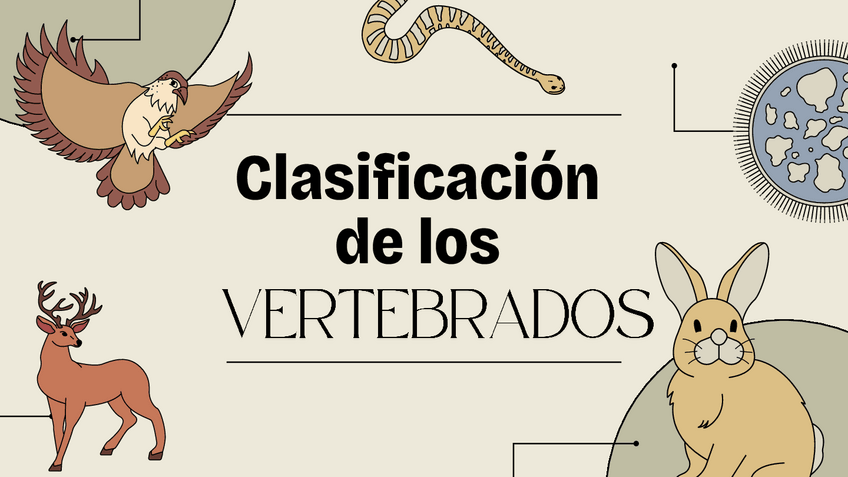 Miniatura del documento Clasificacion-de-los.pdf