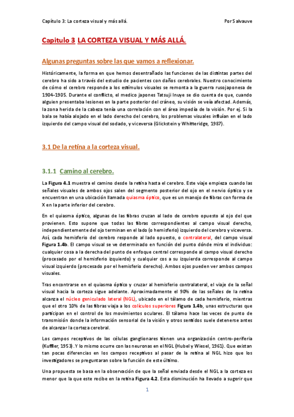 Miniatura del documento Capitulo-3-LA-CORTEZA-VISUAL-Y-MAS-ALLA.pdf