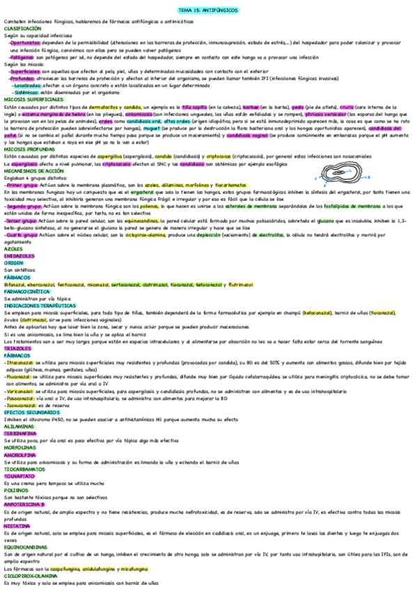 Miniatura del documento TEMA-15-antifungicos.pdf