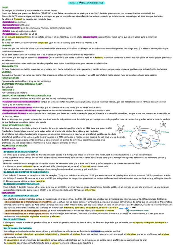 Miniatura del documento TEMA-13-antiviricos.pdf