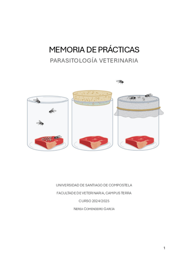Miniatura del documento MEMORIA DE PRACTICAS 2024/2025.pdf