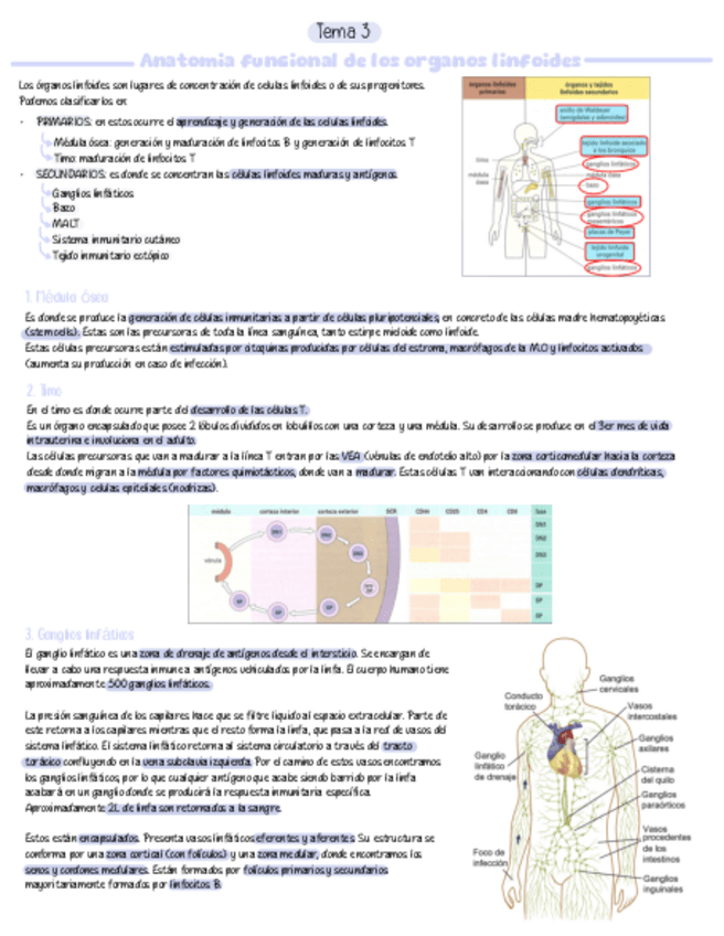 Miniatura del documento Tema-3.pdf