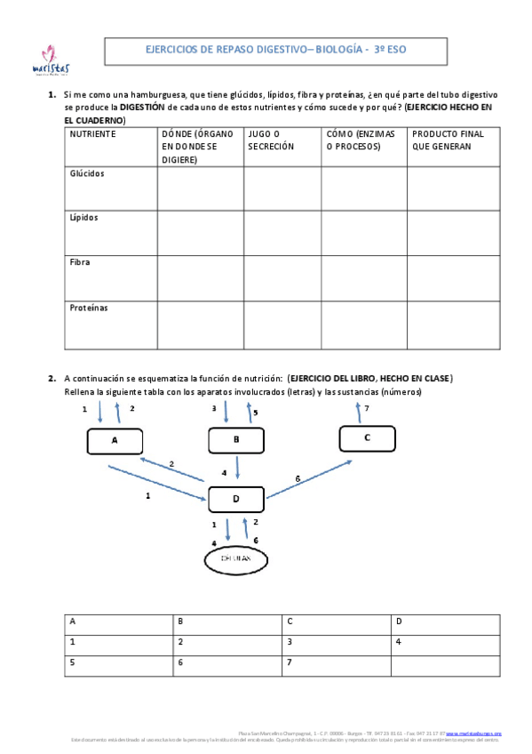Miniatura del documento Ejercicios-de-repaso-Biologia-3o-ESO-DIGESTIVO.pdf