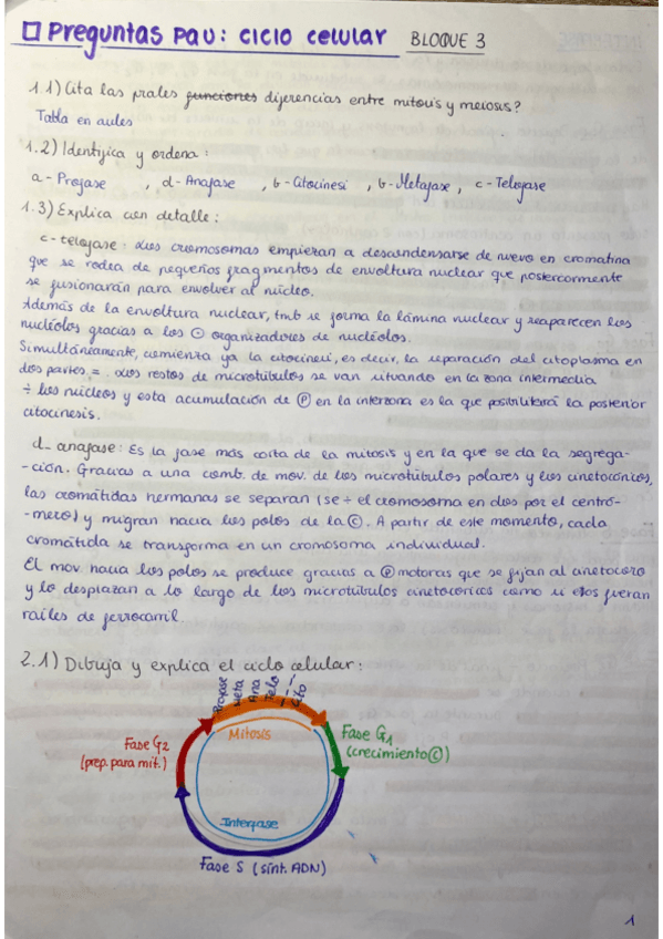 Miniatura del documento Preguntas-PAU-Ciclo-celular-Bloque-3.pdf