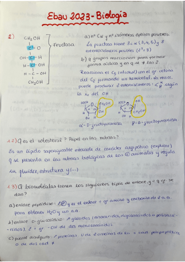 Miniatura del documento ebau-2023-resuelta.pdf
