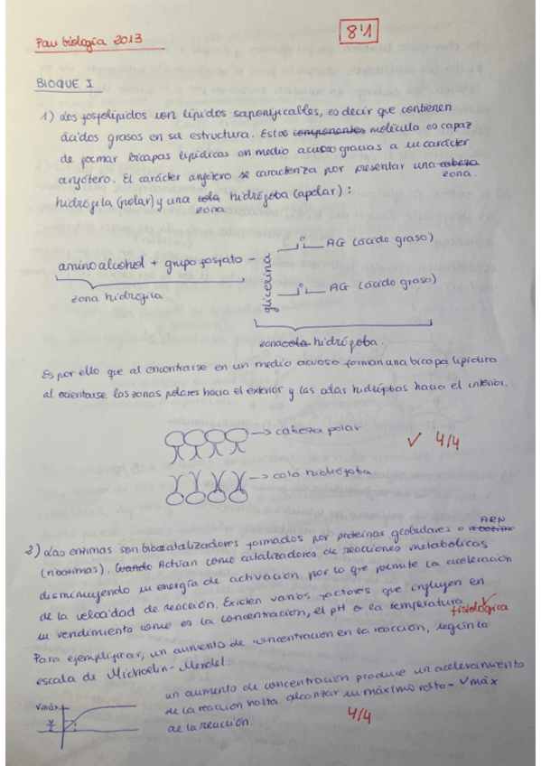 Miniatura del documento ebau-2013-resuelta-y-corregida.pdf
