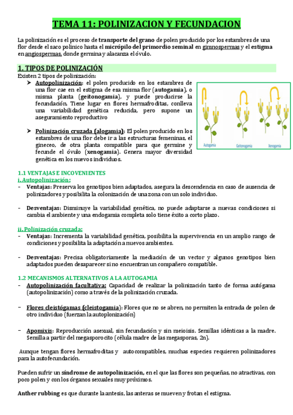 Miniatura del documento T11-POLINIZACION-Y-FECUNDACION.pdf