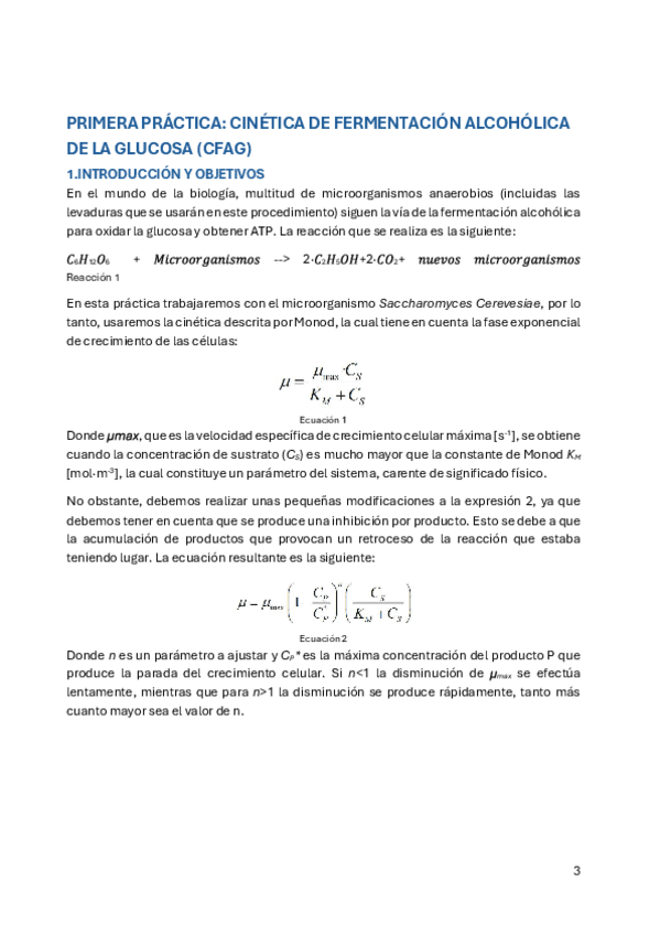 Miniatura del documento informe-Laboratori-BIOREACTORS.pdf
