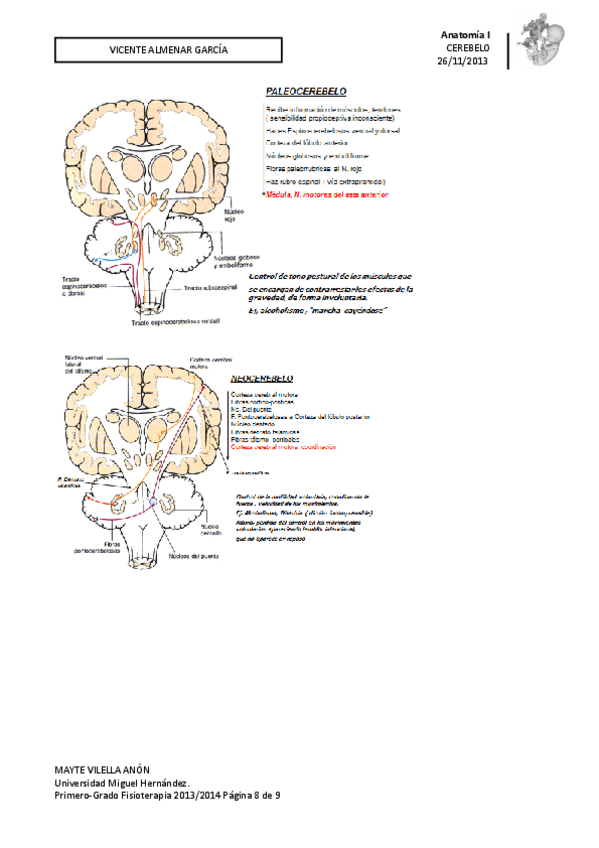 Miniatura del documento TODO-EL-TEMARIO-ANATOMIA-7.pdf