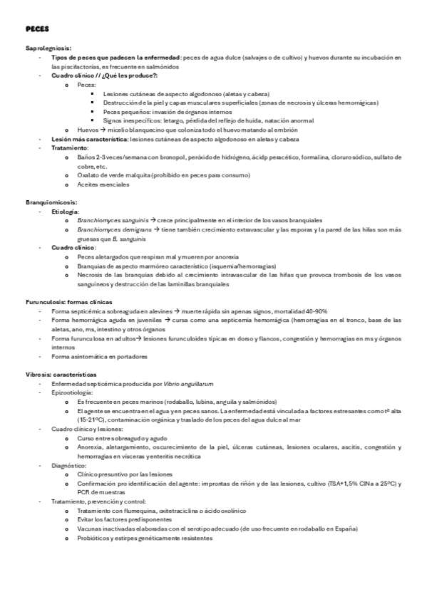 Miniatura del documento preguntas-peces-y-abejas.pdf