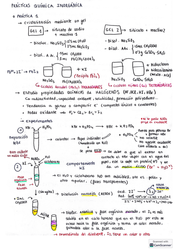 Miniatura del documento PRACTICAS-INORGANICA.pdf