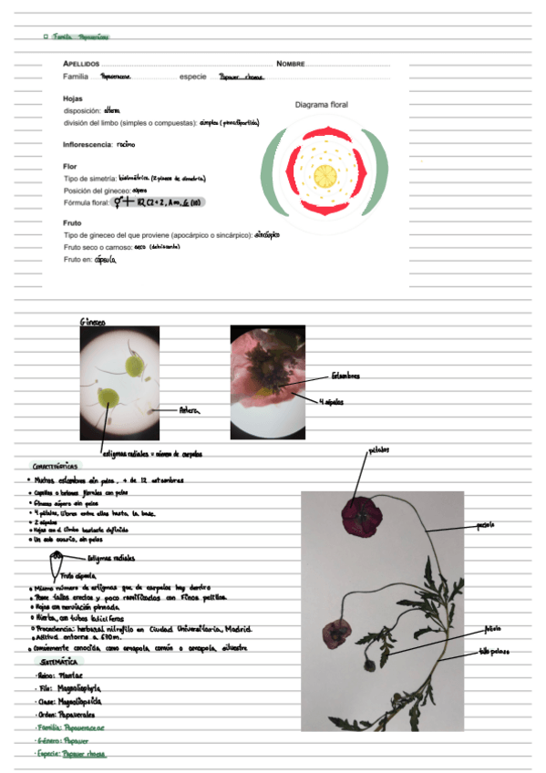 Miniatura del documento practicas-botanica-muy-completas-I.pdf