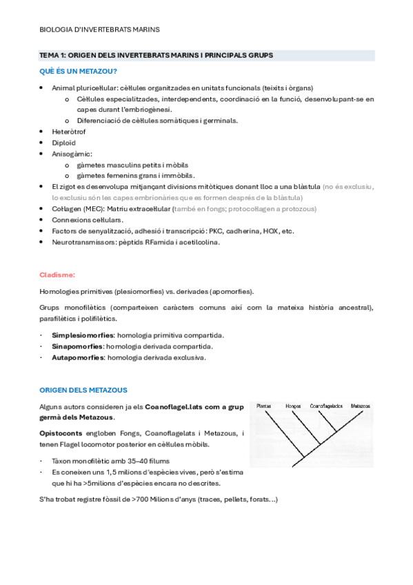 Miniatura del documento ApuntsParcialBIM.pdf