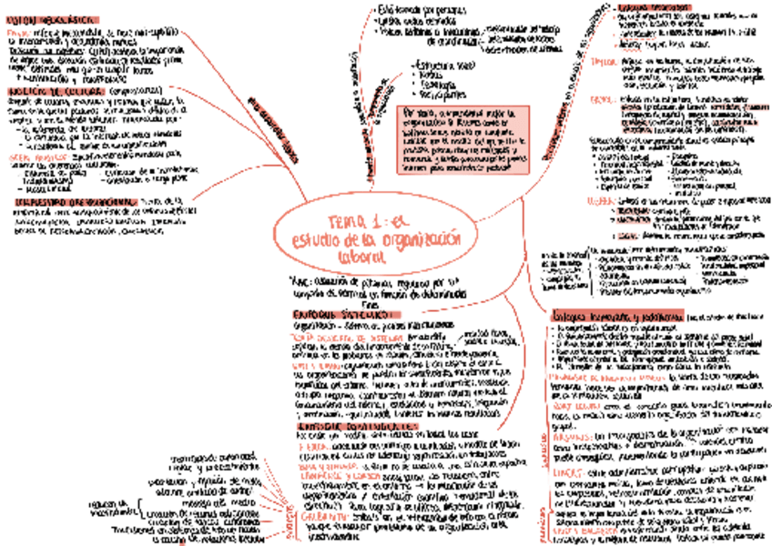 Miniatura del documento Esquemas-organizaciones Tema 1,2 y 3.pdf