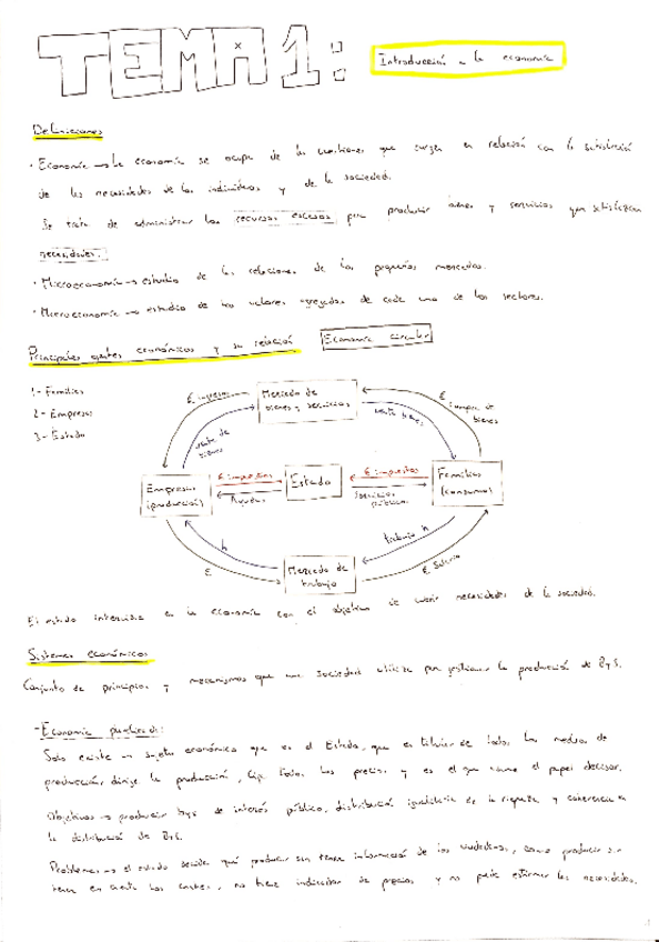 Miniatura del documento Resumen-primer-parcial-Temas-1-10.pdf