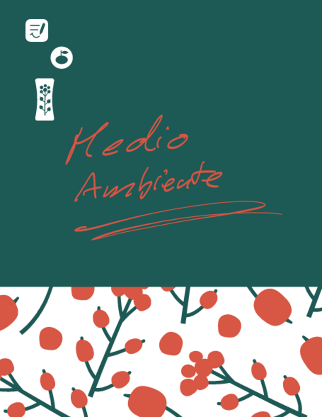 Miniatura del documento Apuntes-Medio-Amb.pdf