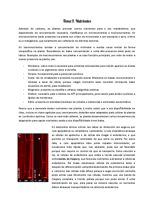 Miniatura del documento FV-Tema-9-2025.pdf